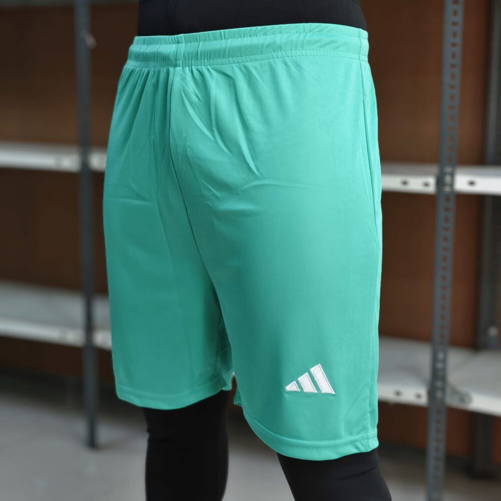 Saleena Shorts Sea Green